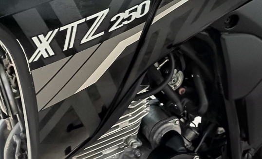 YAMAHA XTZ 250 LANDER 249cc/LANDER BLUEFLEX/ABS 2022 Flex-6