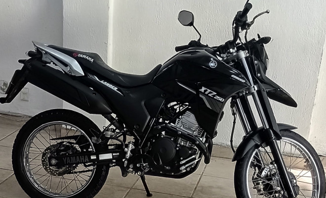 YAMAHA XTZ 250 LANDER 249cc/LANDER BLUEFLEX/ABS 2022 Flex-13