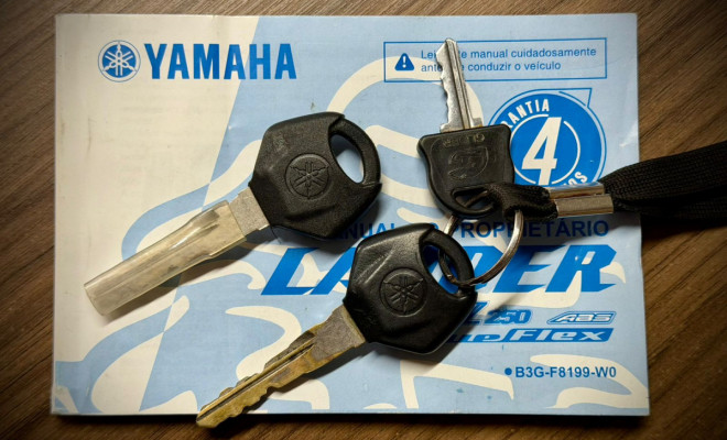 YAMAHA XTZ 250 LANDER 249cc/LANDER BLUEFLEX/ABS 2020 Flex-8