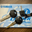 YAMAHA XTZ 250 LANDER 249cc/LANDER BLUEFLEX/ABS 2020 Flex-8
