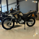 HONDA XRE 300/ 300 ABS/ FLEX 2022 Flex-1