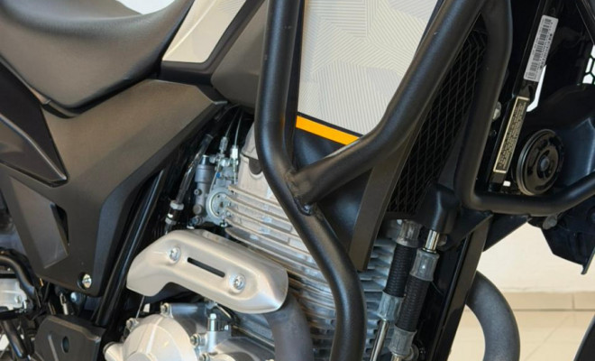 HONDA XRE 300/ 300 ABS/ FLEX 2022 Flex-6