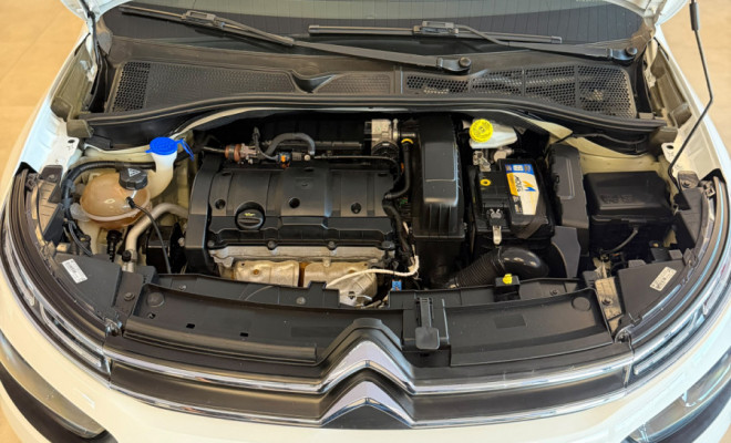 Citroën C4 CACTUS FEEL 1.6 16V Flex Aut. 2019 Flex-19