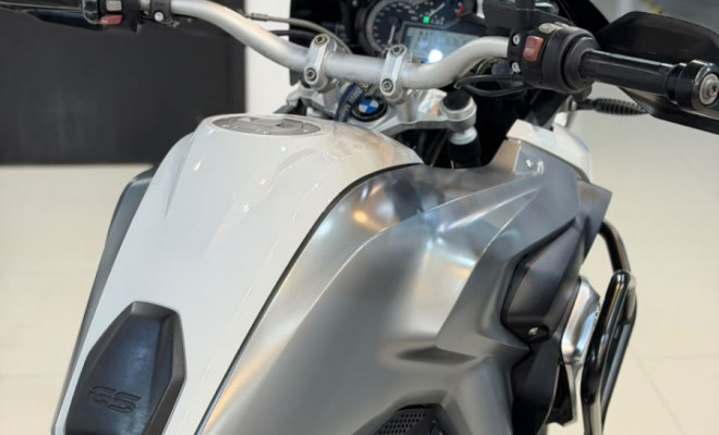 BMW R 1200 GS 2013 Gasolina-15