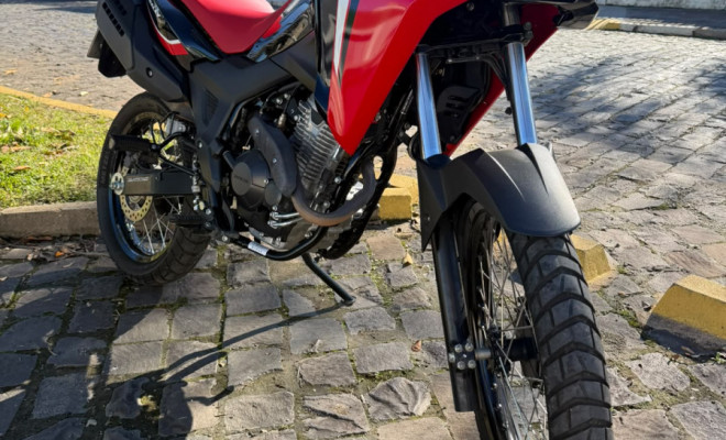 HONDA SAHARA 300 RALLY ABS FLEX 2024 Flex-2