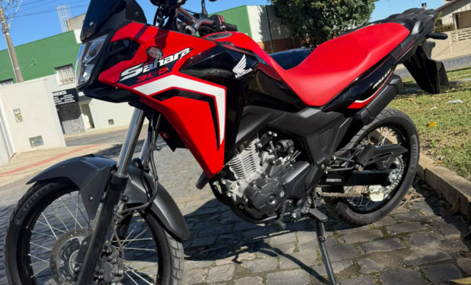 HONDA SAHARA 300 RALLY ABS FLEX 2024 Flex