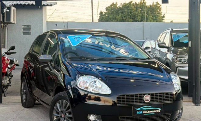 Fiat Punto  ELX 1.4 Fire Flex 8V 5p 2010 Flex-0