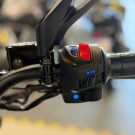 BAJAJ DOMINAR 250 2025 Gasolina-17
