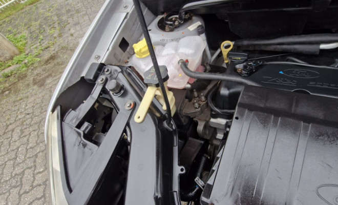 Ford EcoSport XLS 1.6/ 1.6 Flex 8V 5p 2005 Flex-12