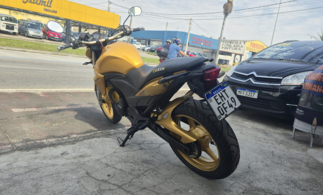 HONDA CB 300R/ 300R FLEX 2010 Flex-4