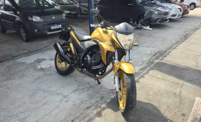 HONDA CB 300R/ 300R FLEX 2010 Flex