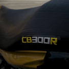 HONDA CB 300R/ 300R FLEX 2010 Flex-5