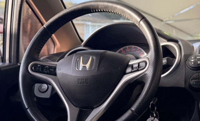 Honda Fit EX/S 1.5 Flex/Flexone 16V 5p Aut. 2013 Flex-9