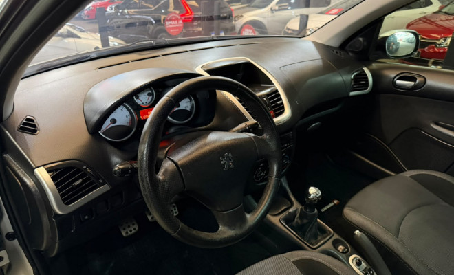 Peugeot 207 QUIKSILVER 1.4 Flex 8V 5p 2010 Flex-13