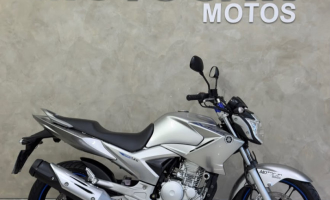 YAMAHA YS 250 FAZER/ FAZER L. EDITION /BLUEFLEX 2013 Flex-0