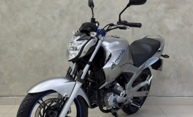 YAMAHA YS 250 FAZER/ FAZER L. EDITION /BLUEFLEX 2013 Flex-5