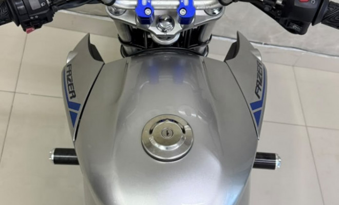 YAMAHA YS 250 FAZER/ FAZER L. EDITION /BLUEFLEX 2013 Flex-2
