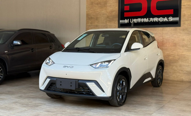 BYD Dolphin Mini (Elétrico) 2027 Elétrico-9