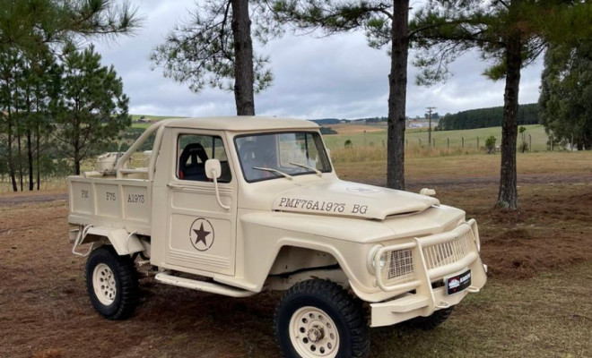 Ford Willys Rural 1973 Gasolina-3