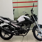 YAMAHA YBR 150 FACTOR ED/FLEX 2023 Flex-3