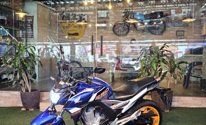 HONDA CB 250 TWISTER/FLEXONE 2019 Flex