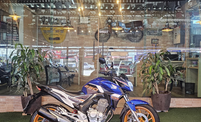 HONDA CB 250 TWISTER/FLEXONE 2019 Flex-1
