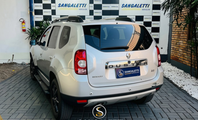 Renault DUSTER Dynamique 4x4 2.0 Hi-Flex 16V Mec 2013 Flex-2