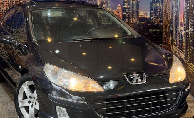 Peugeot 407 Sed. Feline 3.0 V6 211cv 4p Aut. 2007 Gasolina-12