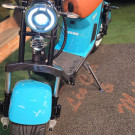 Scooter Elétrica UltraMoove Ultra Max 2026 Elétrico-1