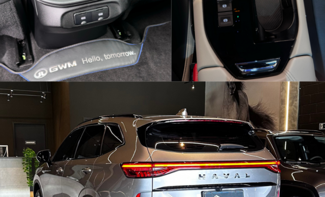 GWM Haval H6 PHEV19 (Hibrido) 2025 Híbrido-4