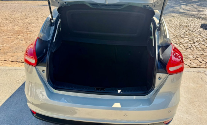 Ford Focus TITA/TITA Plus 2.0  Flex 5p Aut. 2016 Flex-10