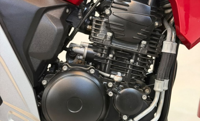 YAMAHA FZ25 250 FAZER FLEX 2023 Flex-6