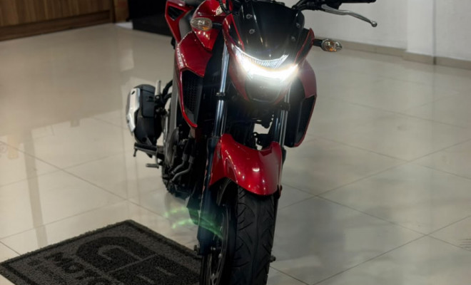 YAMAHA FZ25 250 FAZER FLEX 2023 Flex-4