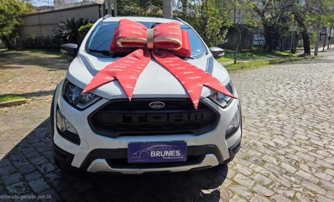 Ford EcoSport STORM 2.0 4WD 16V Flex 5p Aut. 2019 Flex-0