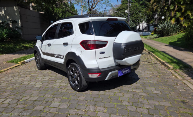 Ford EcoSport STORM 2.0 4WD 16V Flex 5p Aut. 2019 Flex-9