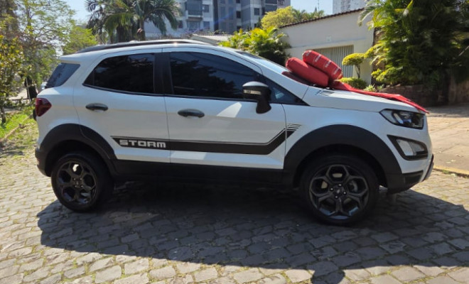 Ford EcoSport STORM 2.0 4WD 16V Flex 5p Aut. 2019 Flex-3