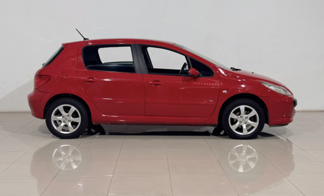 Peugeot 307 Soleil/ Presence 1.6/1.6 Flex 16V 5p 2009 Flex-6