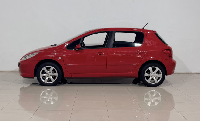 Peugeot 307 Soleil/ Presence 1.6/1.6 Flex 16V 5p 2009 Flex-2