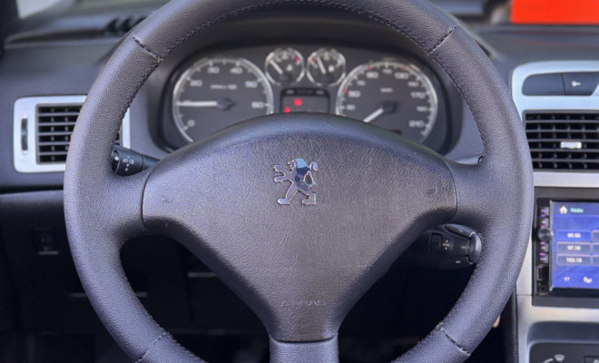 Peugeot 307 Soleil/ Presence 1.6/1.6 Flex 16V 5p 2009 Flex-8