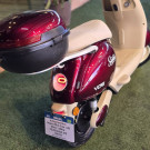 Scooter Elétrica Susan 1000W Zero KM Elétrico-2