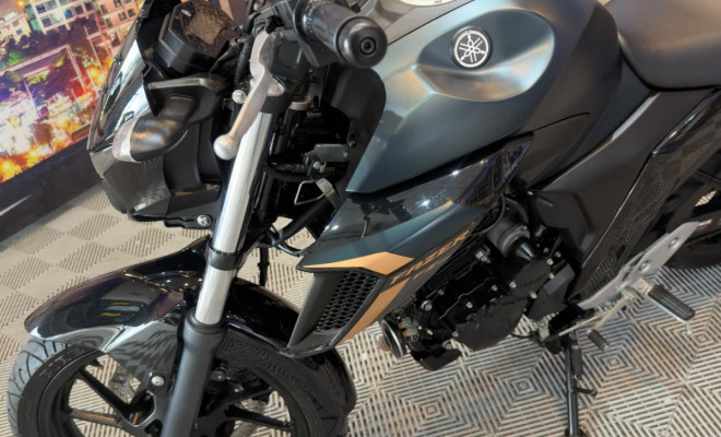 YAMAHA FZ25 250 FAZER FLEX 2024 Flex-7