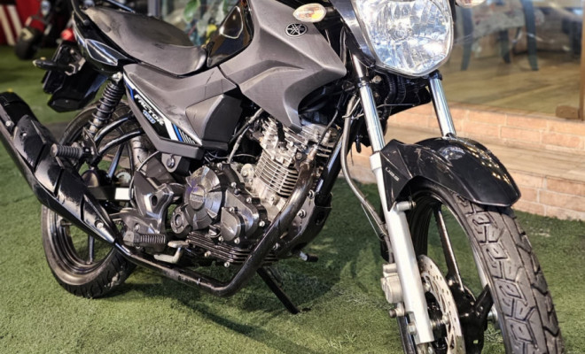 YAMAHA YBR 150 FACTOR ED/FLEX 2023 Flex-1