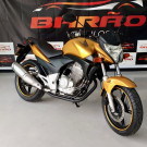 HONDA CB 300R/ 300R FLEX 2010 Flex-1