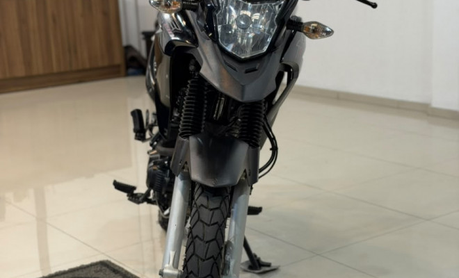 HONDA XRE 190/ Flex 2016 Flex-6