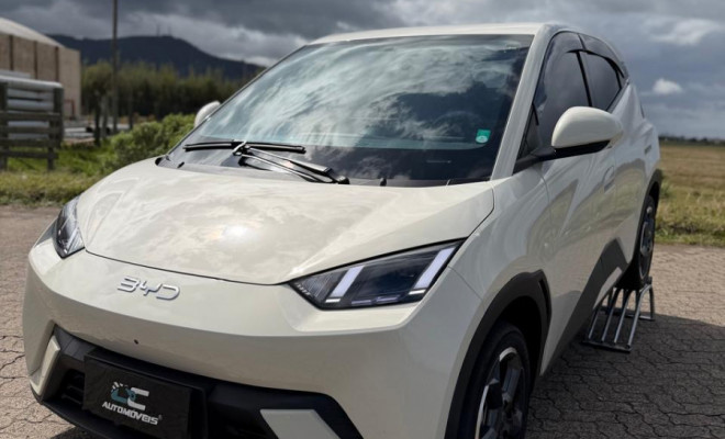 BYD Dolphin Mini (Elétrico) 2025 Elétrico-9