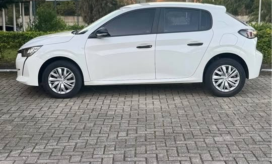 Peugeot 208 Like 1.0 Flex 6V 5p Mec. 2023-13