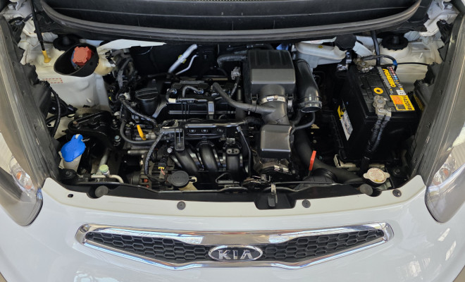Kia Motors Picanto EX 1.1/1.0/ 1.0 Flex Aut. 2012 Flex-8