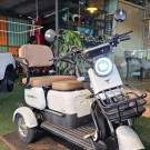 Scooter Elétrica UltraMoove Tree 1000W Zero KM Elétrico-2