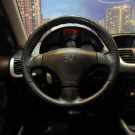 Peugeot 207 XS 1.6 Flex 16V 5p Aut. 2012 Flex-11