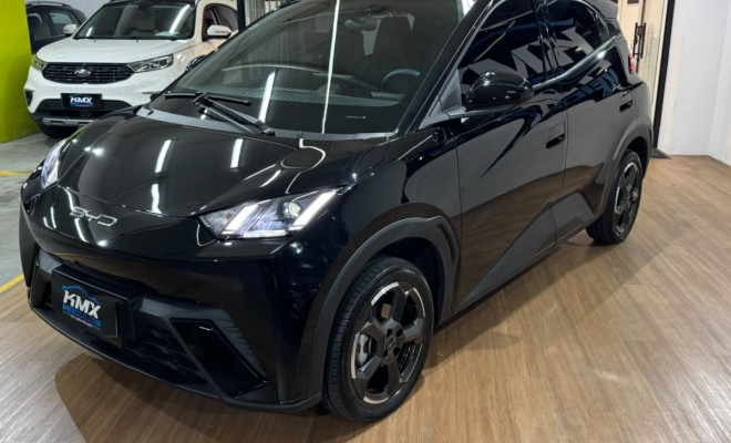 BYD DOLPHIN MINI GS EV 2024 Elétrico-1